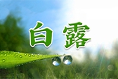 白露
